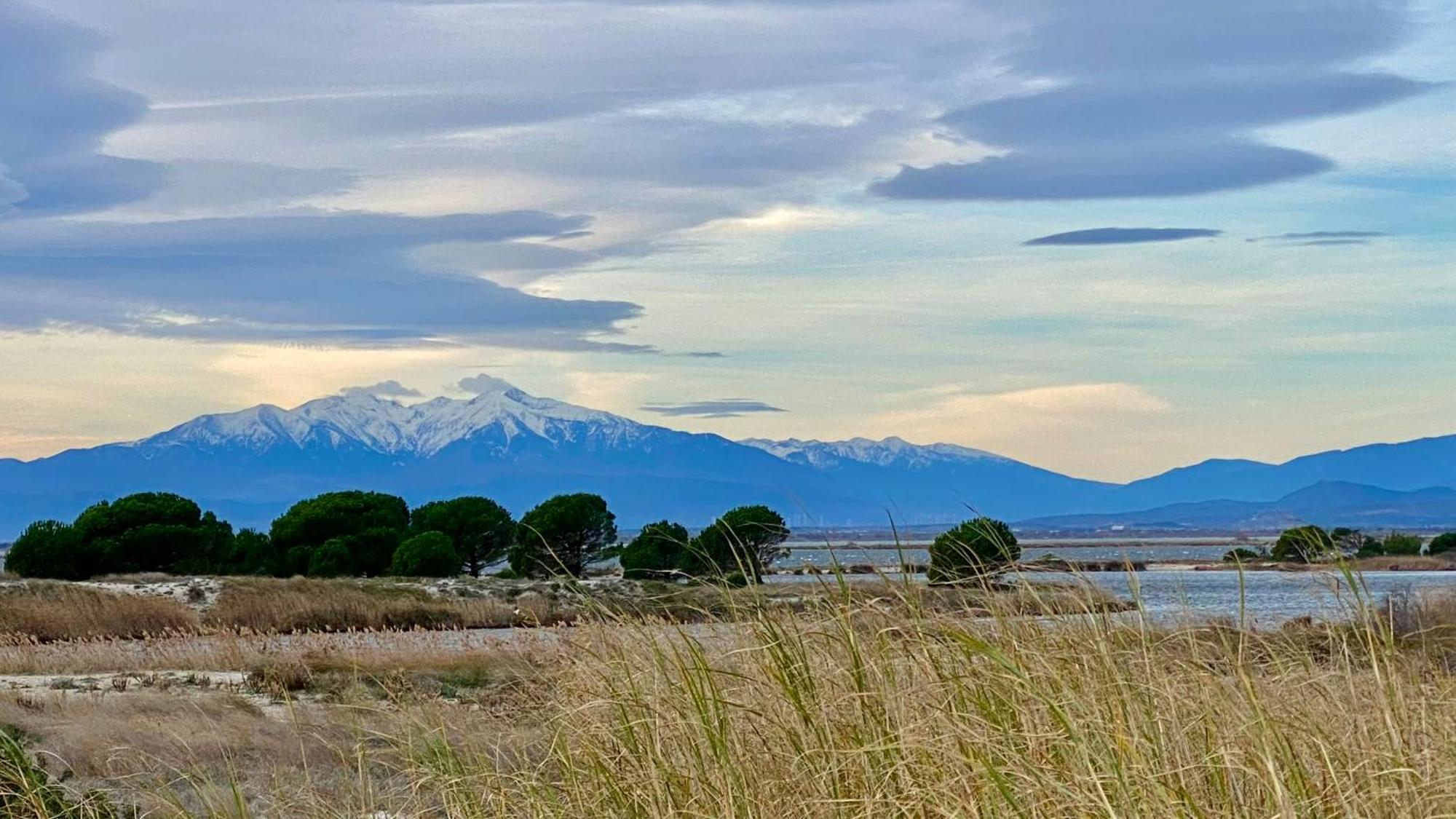 Votre pied à terre entre mer et montagne Le Barcarès Esterno foto